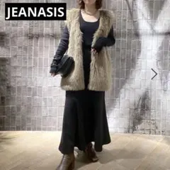 JEANASIS ブラック 長袖 カットソー フリーサイズのサムネイル