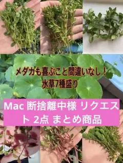 Mac 断捨離中様 リクエスト 2点 まとめ商品