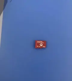 SanDisk 256GB MicroSDカード