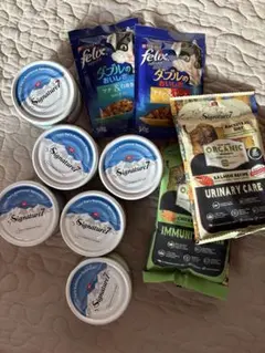 Item thumbnail for item df16ee0a-4a83-4072-b181-891bd92c022c