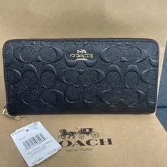 Item thumbnail for item 6d47bbd7-07d8-41a7-87ce-7fcc1b4126b5