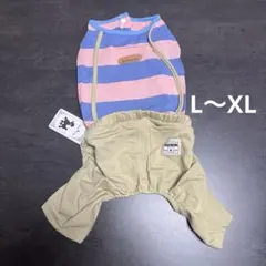 Item thumbnail for item f2a98cd9-9e81-4c88-953e-3ac1666ba9c6