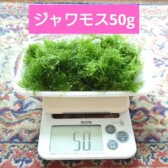 masa1968様 リクエスト 2点 まとめ商品