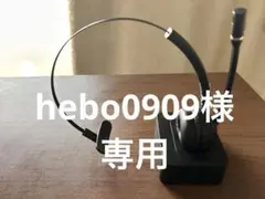 Item thumbnail for item 7f18eb95-de25-40d2-b0b0-8e65c3d89ed8