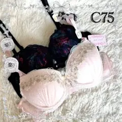 【C75】SALE 単品ブラ2点セット❤️️ピンク、ブラック系