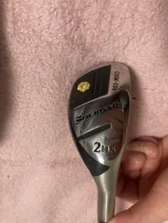 Item thumbnail for item c7a95ae4-90c2-4958-8741-73fb29fb7e2f