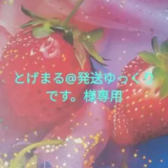 とげまる@発送ゆっくりです。様専用　ステッカー　おすそわけ