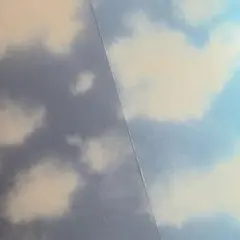 シマエナガ様専用