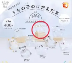 Item thumbnail for item 3ea8d7cf-3bf4-4b5b-b78c-3ac2b97ac0d4