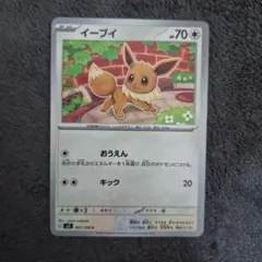 ポケモンカード イーブイ
