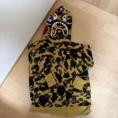 Item thumbnail for item 0bc65268-a34f-42e0-bb89-08885de8c6ca