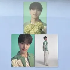 セブチ　HANABI トレカ　ディノ