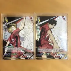 ハイキュー!! バボカ!! BREAK 孤爪研磨 黒尾鉄朗　頂