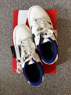 [未使用品] NIKE ウィメンズ　GAMMA フォース