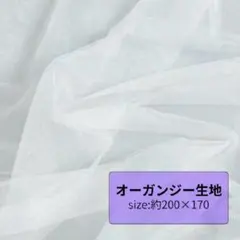 Item thumbnail for item c134ff7a-4186-4ed5-ba7a-1fd0e80331d7