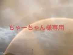 ちゃーちゃん様専用ページ