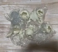 Item thumbnail for item 416dc4cc-cdc6-408b-9144-c9b1f158c650