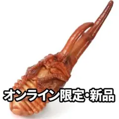 ヘラクレスオオカブト（蛹） いきもの大図鑑 かぶとむし10 オンラインのサムネイル