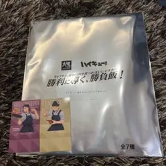 ハイキュー‼︎ 大戸屋　木兎光太郎　ダイカット描き下ろし　ビジュアルボード　梟谷