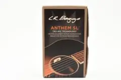 レコーディングキング　美品 オール単板　即戦力000モデル LR.BAGGS ショップ – L.R.Baggs Japan