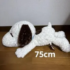 スヌーピー寝そべりぬいぐるみ75cmのサムネイル