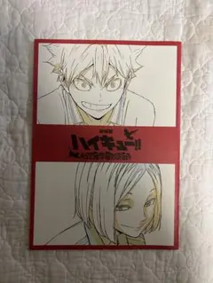 ハイキュー　ゴミ捨て場の決戦　映画特典