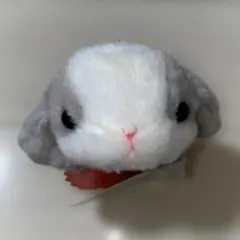 Item thumbnail for item 115fd22f-cc47-4067-93d1-639d7bebfda0