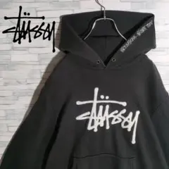 【国内正規 希少】ステューシー☆刺繍センターロゴ パーカー ボアロゴ フード刺繍