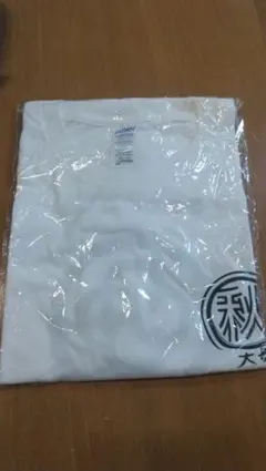 Item thumbnail for item afa75902-5f49-40b9-a226-f809ce7f361f