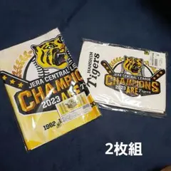 Item thumbnail for item 972f63a9-2ce9-434b-85e2-2b4370a1f32c