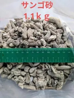 N.K様 リクエスト 3点 まとめ商品