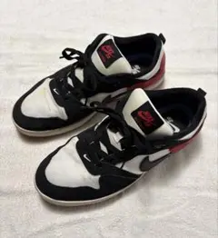 NIKE SB ALLEYOOP ナイキ SBアリウープ スニーカー25.5cm