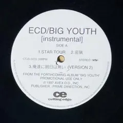 2026年最新】ECD BIG YOUTHの人気アイテム - メルカリ