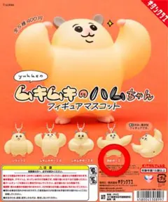 2026年最新】はむちゃんの人気アイテム - メルカリ