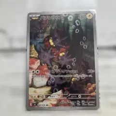 バチンウニ AR 082/076 - メルカリ