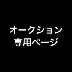 あ*す様 オークション専用ページ
