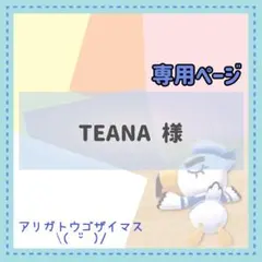 TEANA様 リクエスト 2点 まとめ商品
