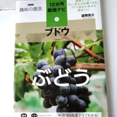 Item thumbnail for item bef9035c-0ed8-4389-9007-d73880eb9901