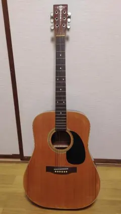 2026年最新】master craft アコギの人気アイテム - メルカリ