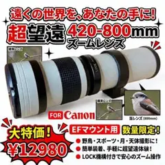 Canon EF100-300mm F5.6L 蛍石 望遠 - メルカリ