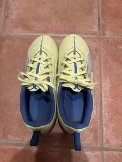 Item thumbnail for item 746a90b2-f33c-4707-84b9-1dae4a7a8775