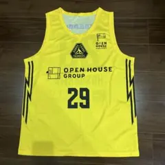 群馬クレインサンダーズ　サイン入りユニフォーム　細川一輝　#29 サイズL 群馬クレインサンダーズ サイン入りユニフォーム 細川一輝 #29