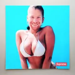 SUPREME APHEX TWIN WINDOWLICKER STICKER
