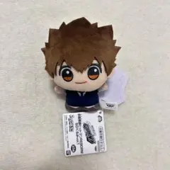 家庭教師 ヒットマン REBORN ちびぐるみ vol.1 沢田綱吉 リボーン