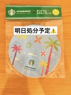 【新品未使用】Starbucks オリジナル メラミンプレートのサムネイル