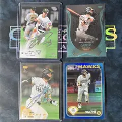 Item thumbnail for item dd96cb4b-8090-477b-b2a2-2f76c722a910