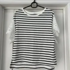 JEANASIS ボーダー レース袖 カットソー