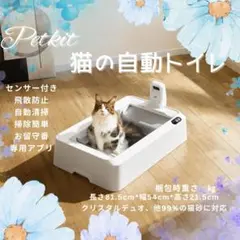 Item thumbnail for item 419a072a-19c6-4e12-8440-6f23b6035f10