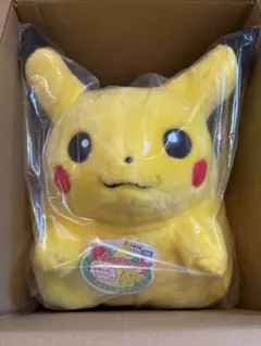 ポケットモンスター ポケモン30周年記念 おかえり!ピカチュウ1/1 ピカチュウ