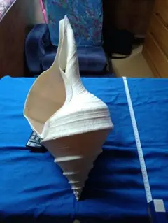 Item thumbnail for item 05a1bd9f-3241-4ef4-a671-beca71b4b7f8